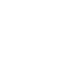 icon consultant 05